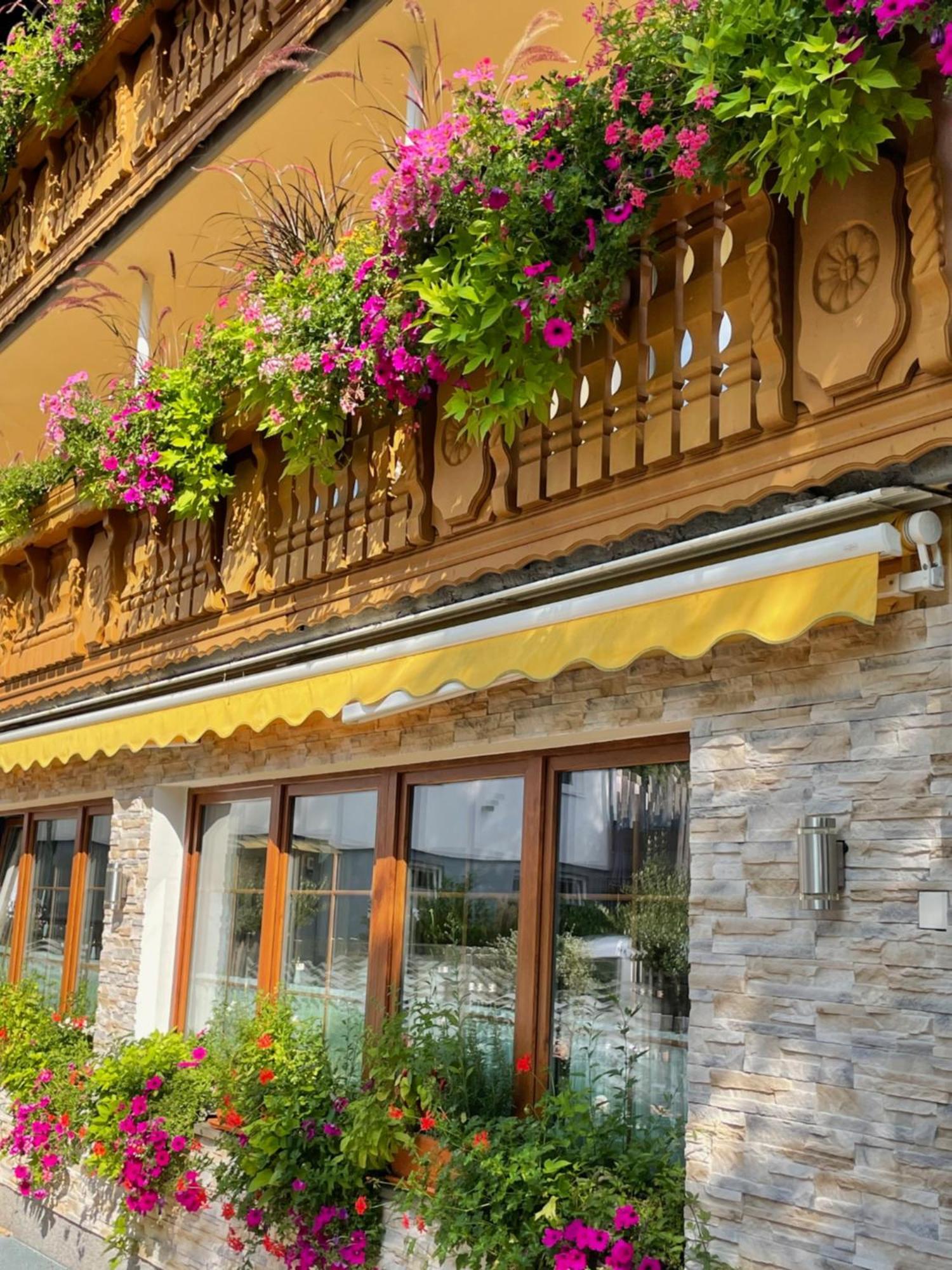 Hotel Krone Igelsberg 弗罗伊登施塔特 外观 照片
